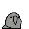 :sadparrot: :sadparrot: