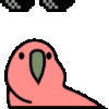 :dealwithitparrot: :dealwithitparrot: